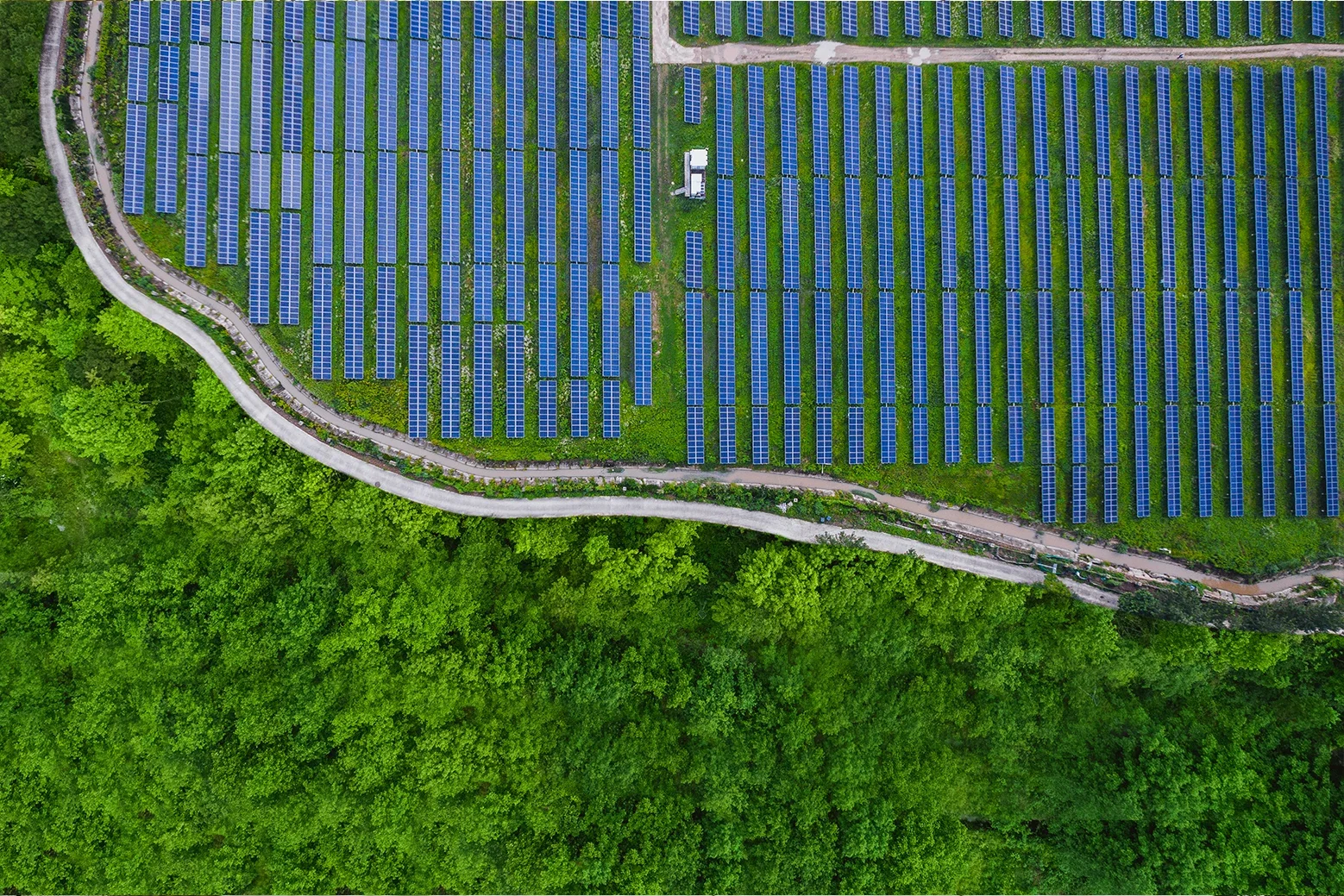 Aerial view of solar farm and greenery