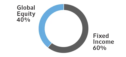 Pie chart showing investment allocation