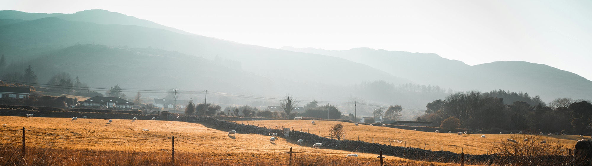 Scenic countryside with grazing sheep