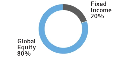 Pie chart showing investment allocation